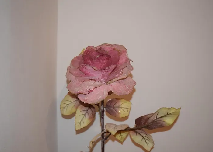 Grande アパート *